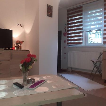 Ada Apartman Apartment Sarajevo Ngoại thất bức ảnh